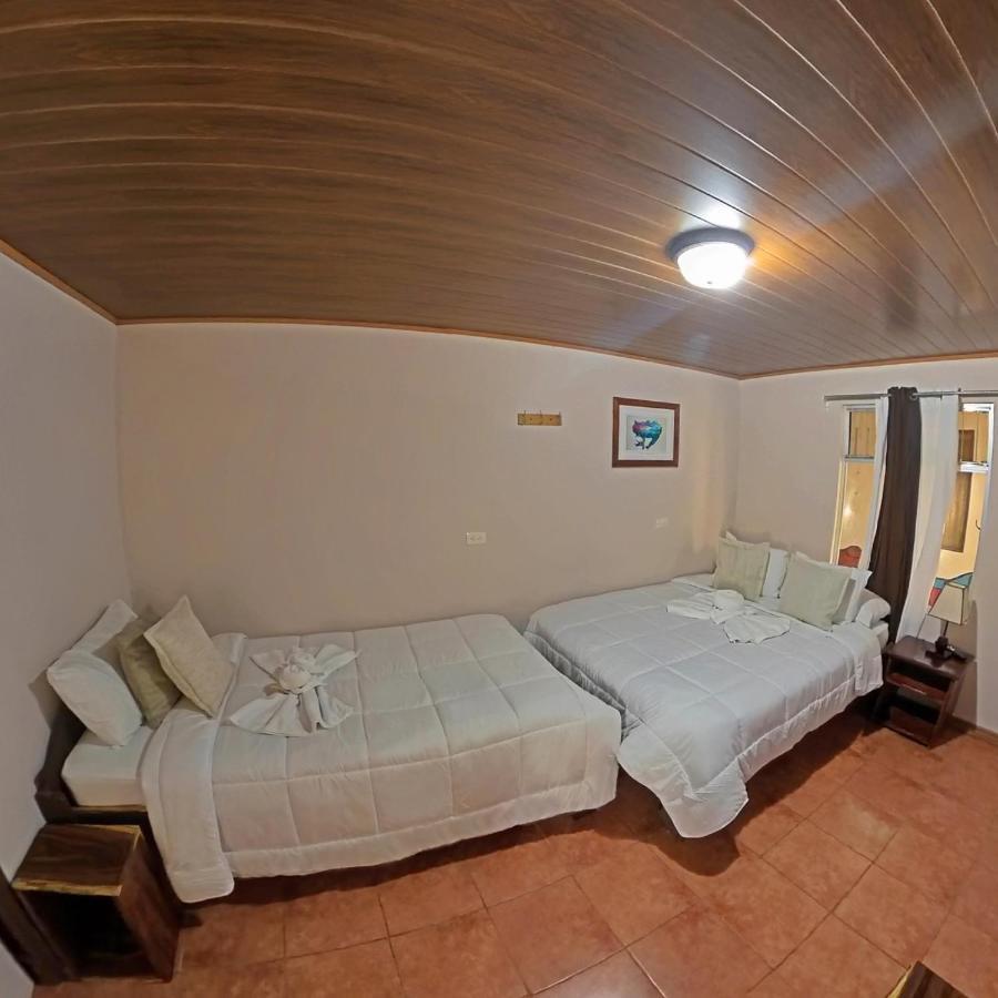 Casa Jungle Monteverde B&B Eksteriør billede