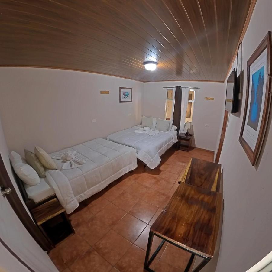 Casa Jungle Monteverde B&B Eksteriør billede