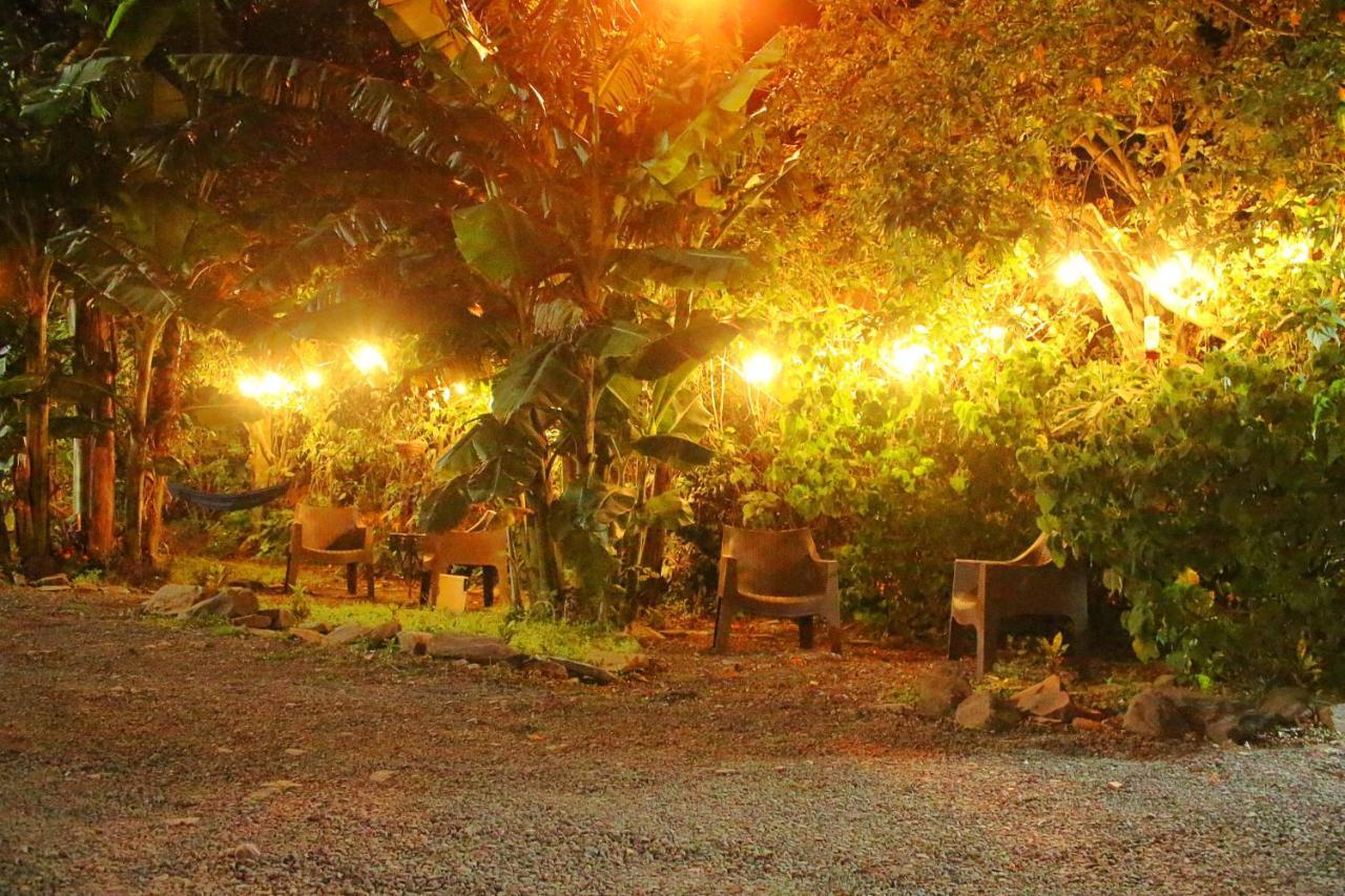 Casa Jungle Monteverde B&B Eksteriør billede
