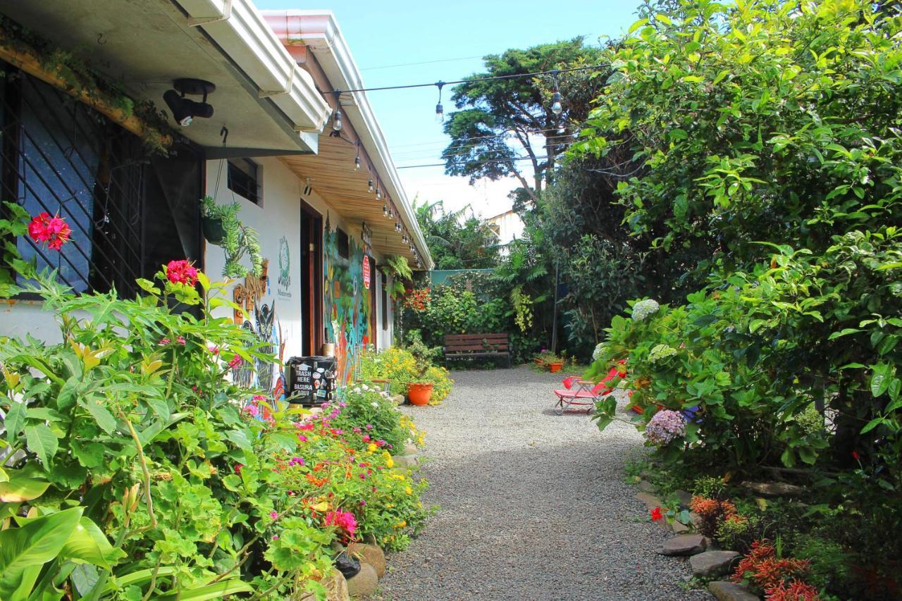 Casa Jungle Monteverde B&B Eksteriør billede