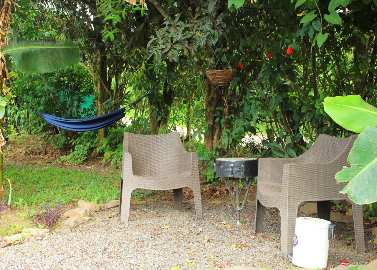 Casa Jungle Monteverde B&B Eksteriør billede